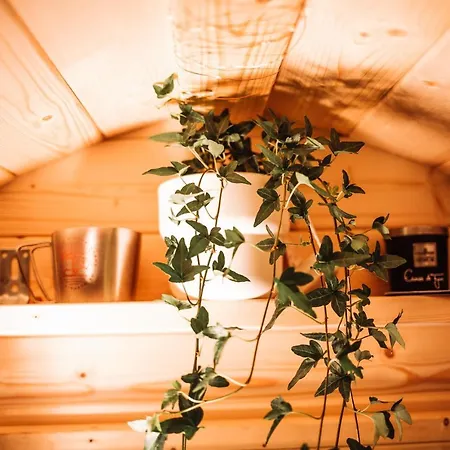 Parque de Campismo The Glamping Spot - *